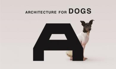 architecture-for-dogs
